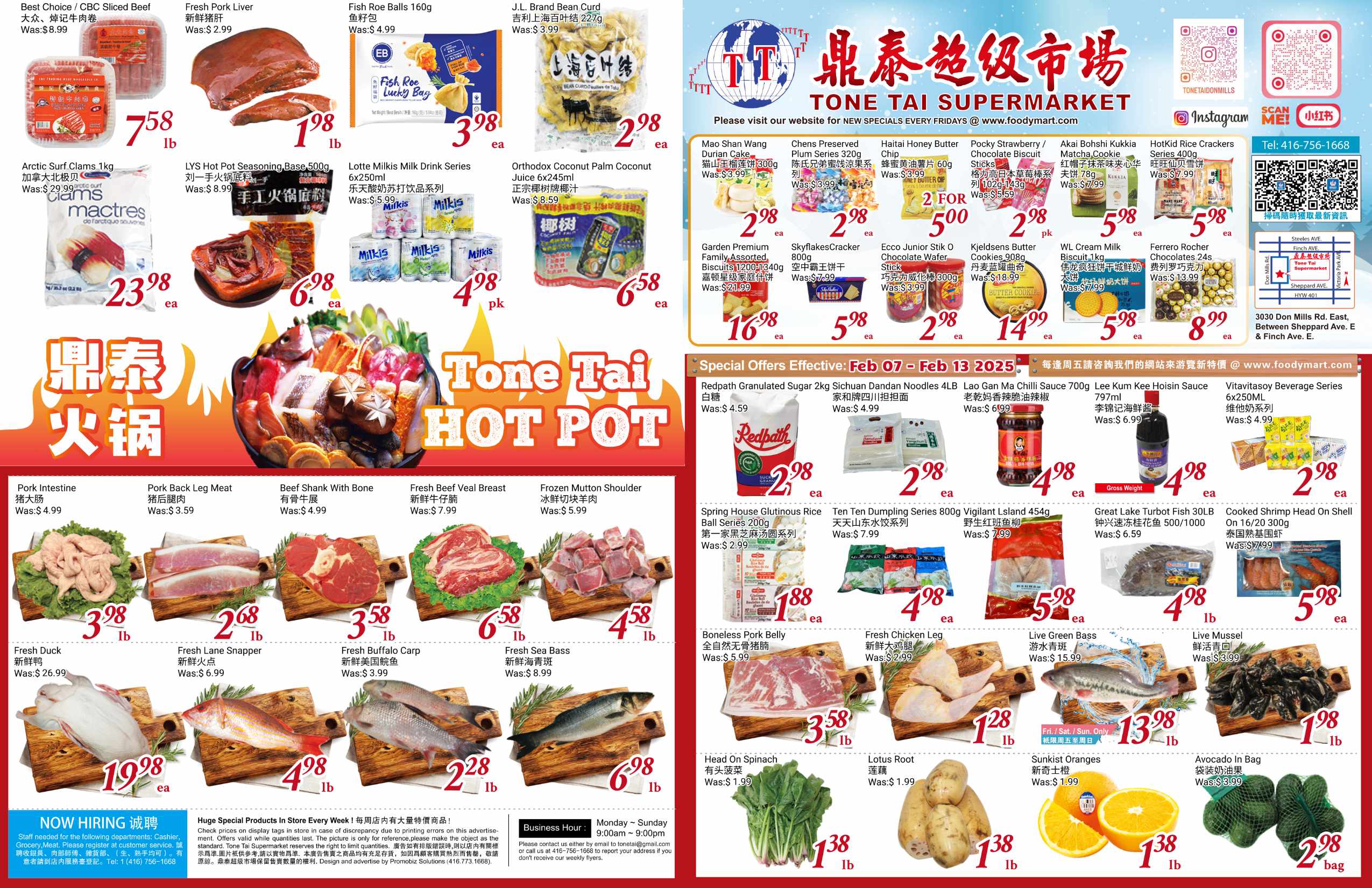 TT-20250206-Spread-01
