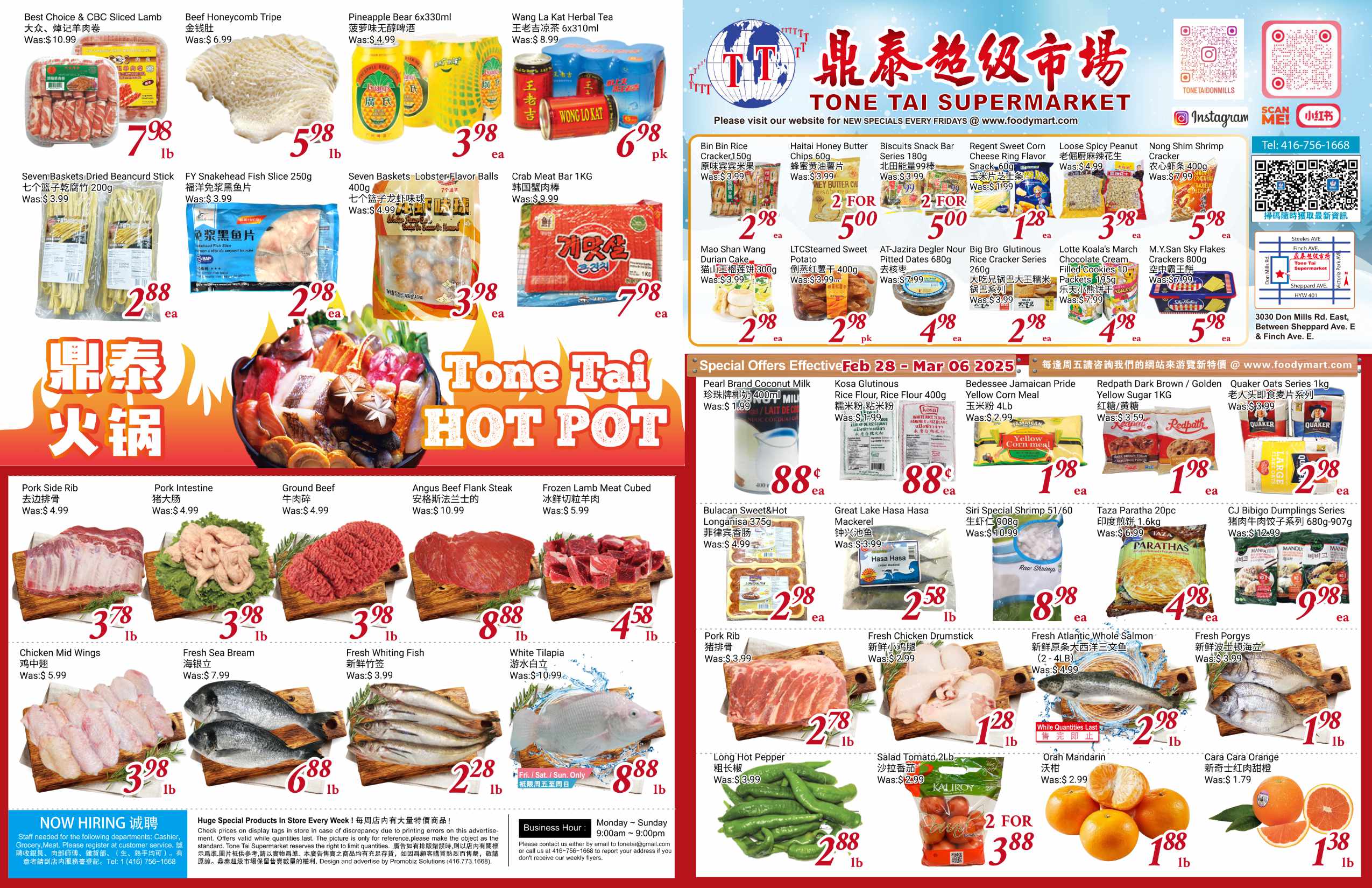 TT-20250227-Spread-01
