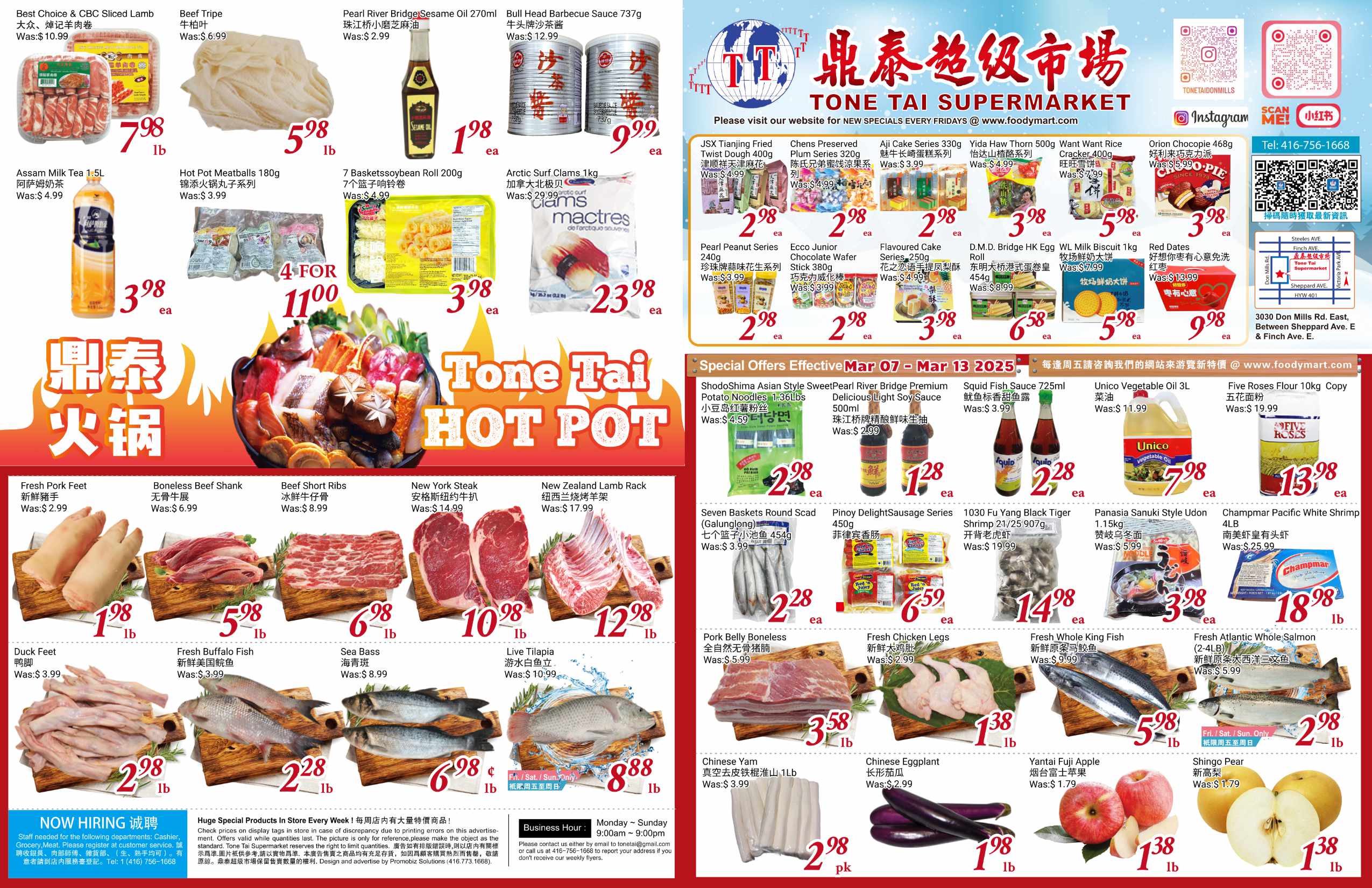 TT-20250306-Spread-01
