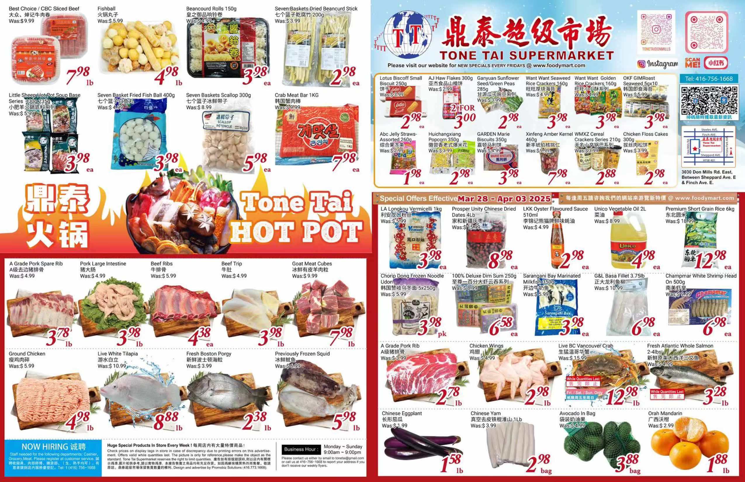 TT-20250327-Spread-01